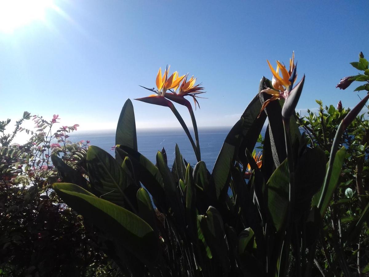 Apartamento Do Sol Arco da Calheta  Luaran gambar