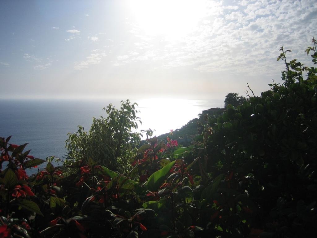 Apartamento Do Sol Arco da Calheta  Luaran gambar